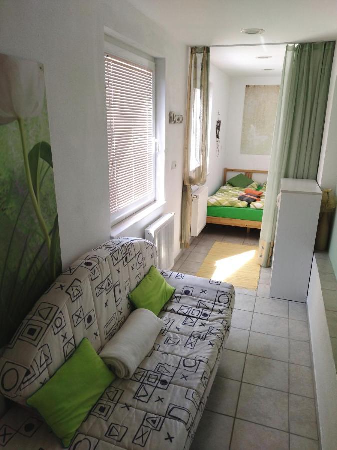 Apartma Peter1A Begunje Exterior foto